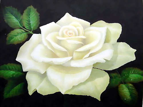 ROSE SEEDS WHITE ROSE - 10 ROSE SEEDS