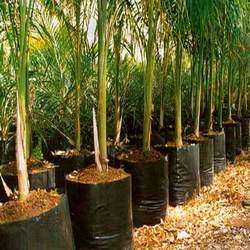 PLANT GROWING BAGS - 20 LITRE  - BLACK PLASTIC GROWING BAGS