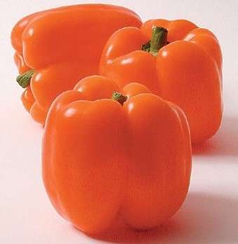 BELL PEPPER ORANGE SUN - 10 PEPPER SEEDS