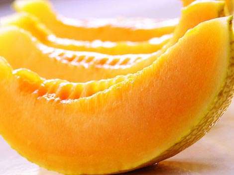 MELON SEEDS HAMI MELON - 5 MELON SEEDS