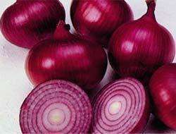 ONION SEEDS RED CREOLE HEIRLOOM - 100 ONION SEEDS