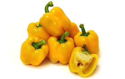 BELL PEPPER KAVANGO - 10 SWEET YELLOW PEPPER SEEDS