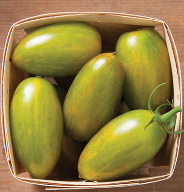 TOMATO SEEDS GREEN TIGER - 25 CHERRY TOMATO SEEDS