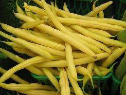 BUSH BEANS GOLDEN WAX - 25 HEIRLOOM BUSH BEAN SEEDS