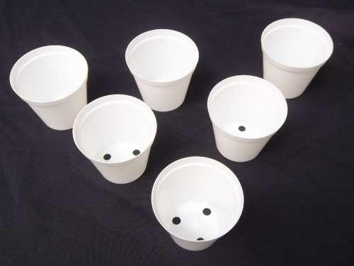 PLANT POTS 7 CM - PLANT POTS WHITE