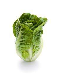 Lettuce Seeds Little Gem  - 100 Heirloom Lettuce Seeds