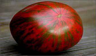 TOMATO SEEDS BERKELEY TIE DIE - 10 TOMATO SEEDS