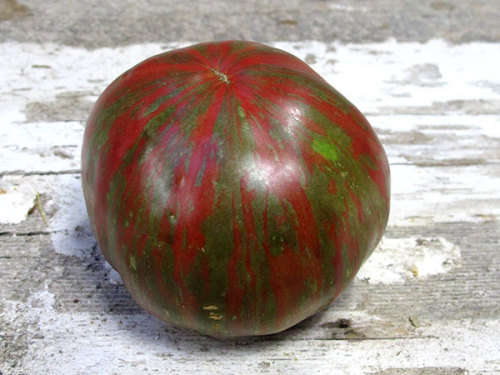 TOMATO SEEDS BERKELEY TIE DIE - 10 TOMATO SEEDS