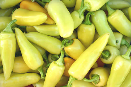 CHILLIES SANTA FE CHILLI - 10 CHILLI SEEDS