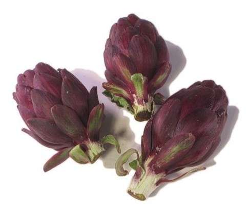 ARTICHOKE SEEDS - VIOLET DE PROVENCE 15 ARTICHOKE SEEDS