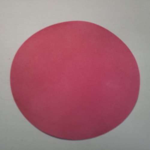 PROTEA SEED SMOKE PRIMER - PROTEA SEEDS