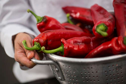 PEPPER SEEDS SWEET PALERMO - 10 PEPPER SEEDS