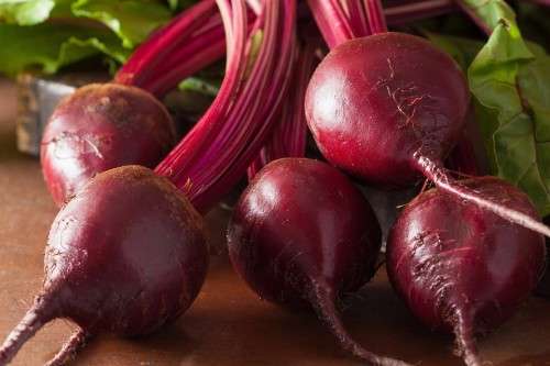 Beetroot Seeds Bulls Blood - 100 Beetroot Seeds