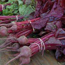 Beetroot Seeds Bulls Blood - 100 Beetroot Seeds