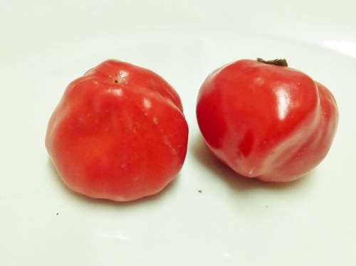 Pickling Pepper - 20 Seeds