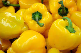 PEPPER SEEDS CALIFORNIA WONDER YELLOW - 100 SWEET PEPPER SEEDS