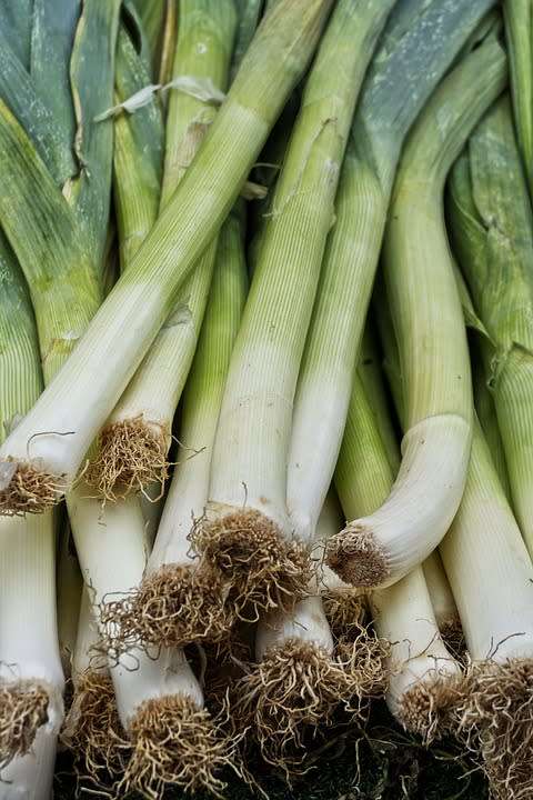 Leeks Carentan - 100 Leek Seeds