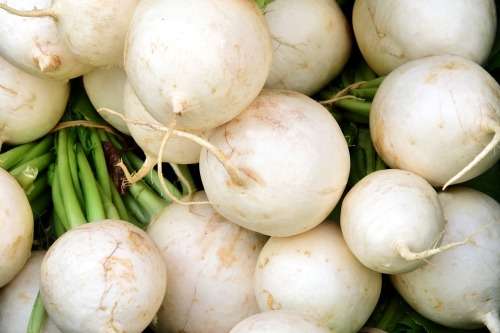 RADISH SEEDS WHITE GLOBE - 50 RADISH SEEDS