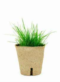 BIODEGRADABLE PLANT POTS - 6 CM PLANT POTS