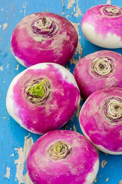 Turnip Purple Top - 300 Turnip Seeds