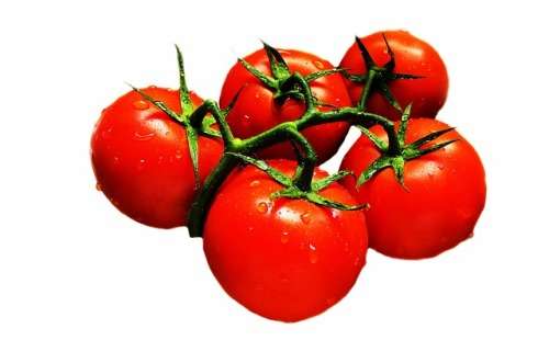 Tomato Heinz Seeds - 50 Determinate Tomato Seeds