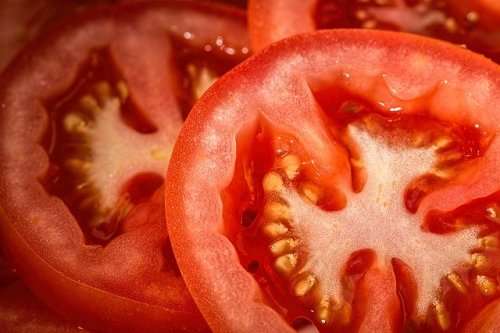 Tomato Heinz Seeds - 50 Determinate Tomato Seeds
