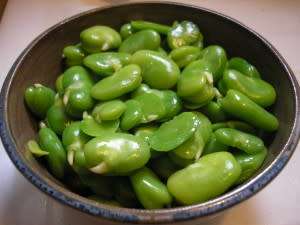 BROAD BEAN  SEEDS FANFARE - 50 BROAD BEAN SEEDS