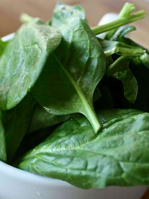 Spinach Matador - 20 Grams Seeds