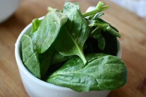 Spinach Seeds Viroflay - 10 Grams Spinach Seeds