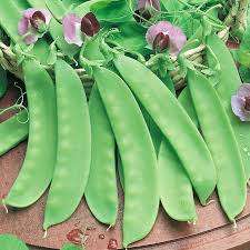 Pea Seeds Carouby Sugar Snap - 20 Pea Seeds