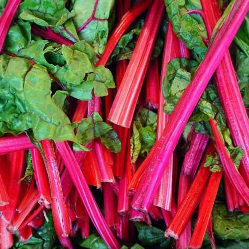 Spinach - Swiss Chard Seeds Red - 20 Spinach Seeds