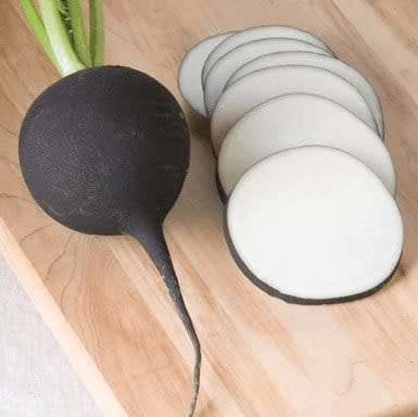Radish Seeds Black Nero Tondo Seeds - 50 Radish Vegetable Seeds