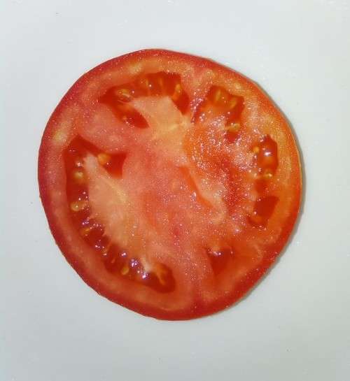 TOMATO SEEDS BEEFSTEAK - 10 TOMATO SEEDS