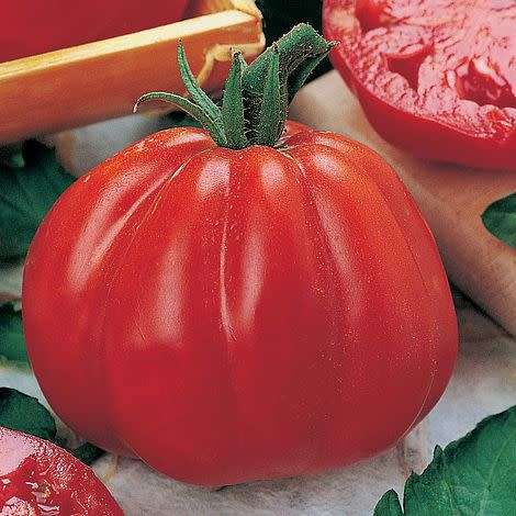 Tomato Seeds Cuore Di Bue - 20 Tomato Seeds