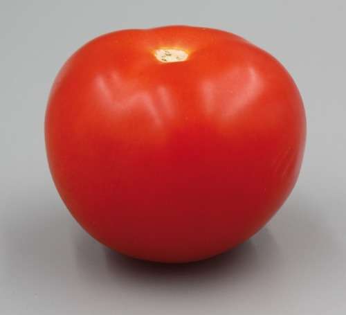 TOMATO HEINZ 2 GRAMS TOMATO SEEDS