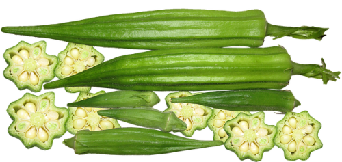 Okra Seeds Clemson Spineless - 100 Okra Seeds