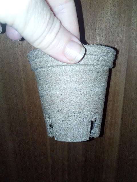 Biodegradable Plant Pots - 8 Cm Plant Pots