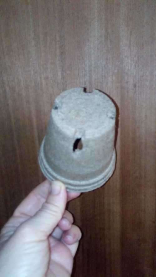 Biodegradable Plant Pots - 8 Cm Plant Pots