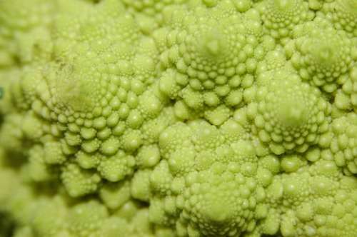 Broccoli Romanesco - 25 Heirloom Romanesco Seeds