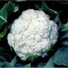 CAULIFLOWER SEEDS SNOWBALL SELF BLANCHING - 50 CAULIFLOWER SEEDS