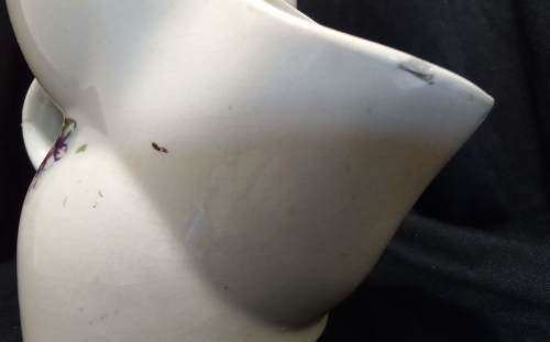 Vintage shaving cup Roses and pansies