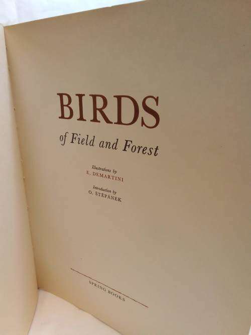 Birds of field and forest Illustrations by E Demartini
