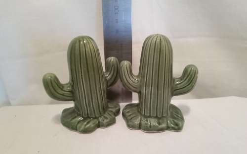 Cacti SaltandPepper set