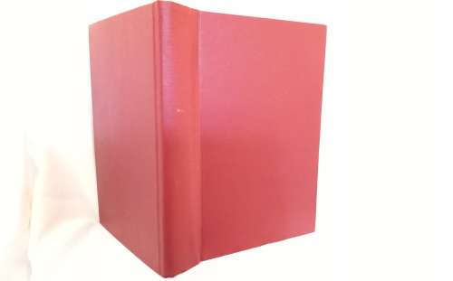 Kala by Nicholas Luard