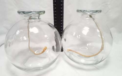 Two large glass oil burners