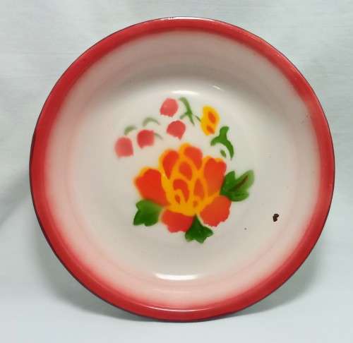 Beautiful Vintage enamel plate