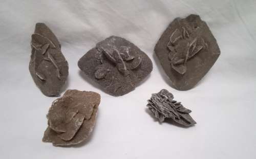 Six selenite Desert Rose Crystal mineral stone / gypsum stones