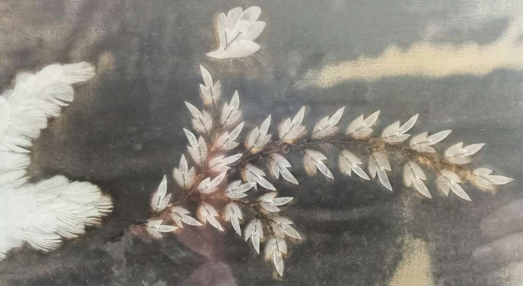 Exquisite Vintage picture with dove -  made of fish scales