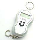 Digital Fishing Hanging Weight Weighing Scales LCD 40 KG