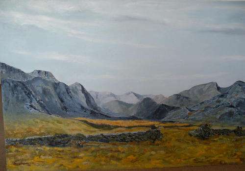 KAROO LANDSCAPE - OIL ON CANVAS BOARD, UNFRAMED